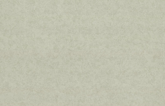 81c5d75dd40dc696f7be60696fb205b2